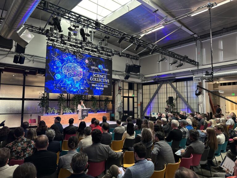 Live streaming video production setup capturing a corporate conference with multiple cameras and professional lighting.